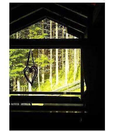 Haus-bucheneck-wohnung-sonnenaufgang *